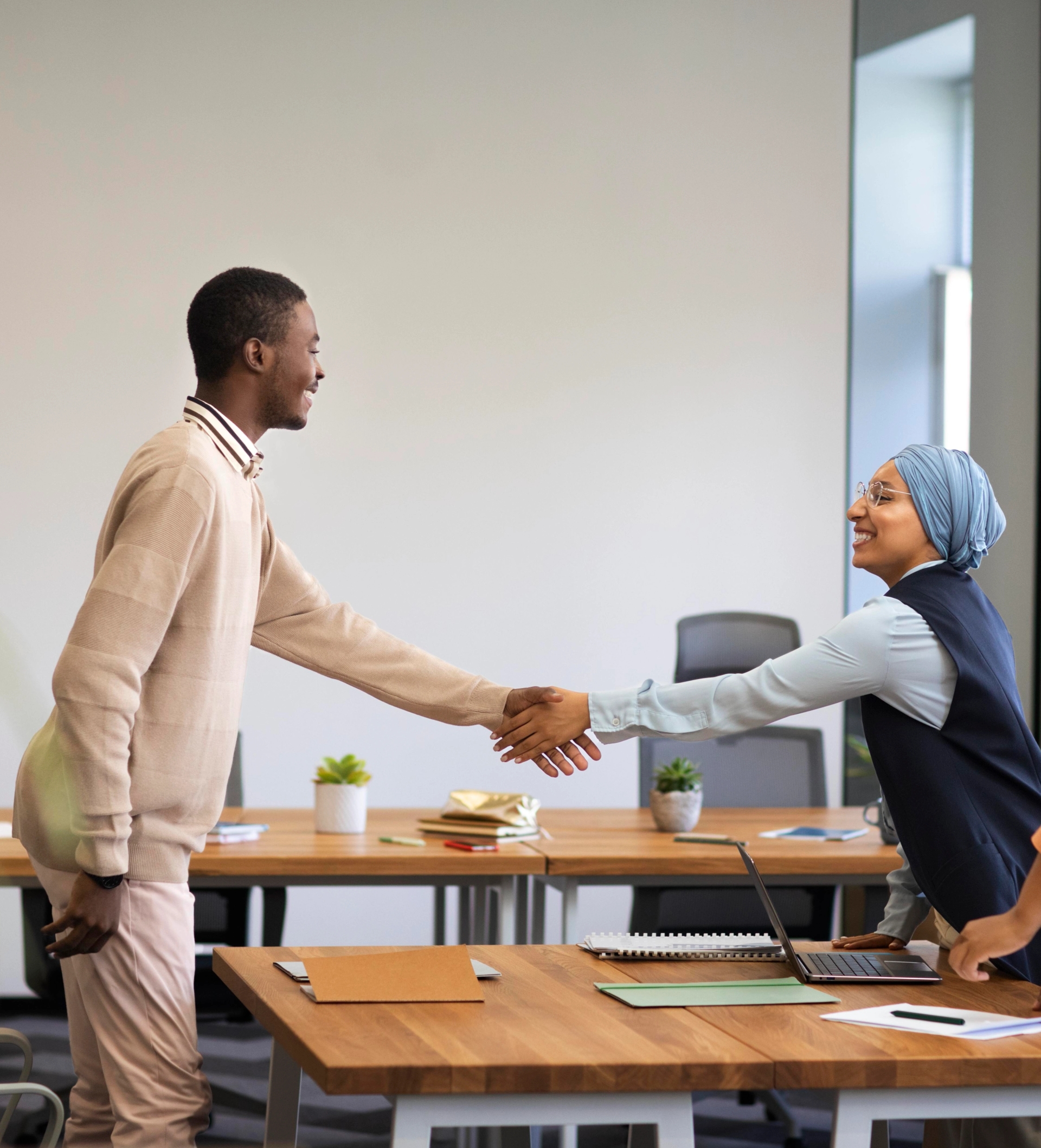 Business professionals shaking hands